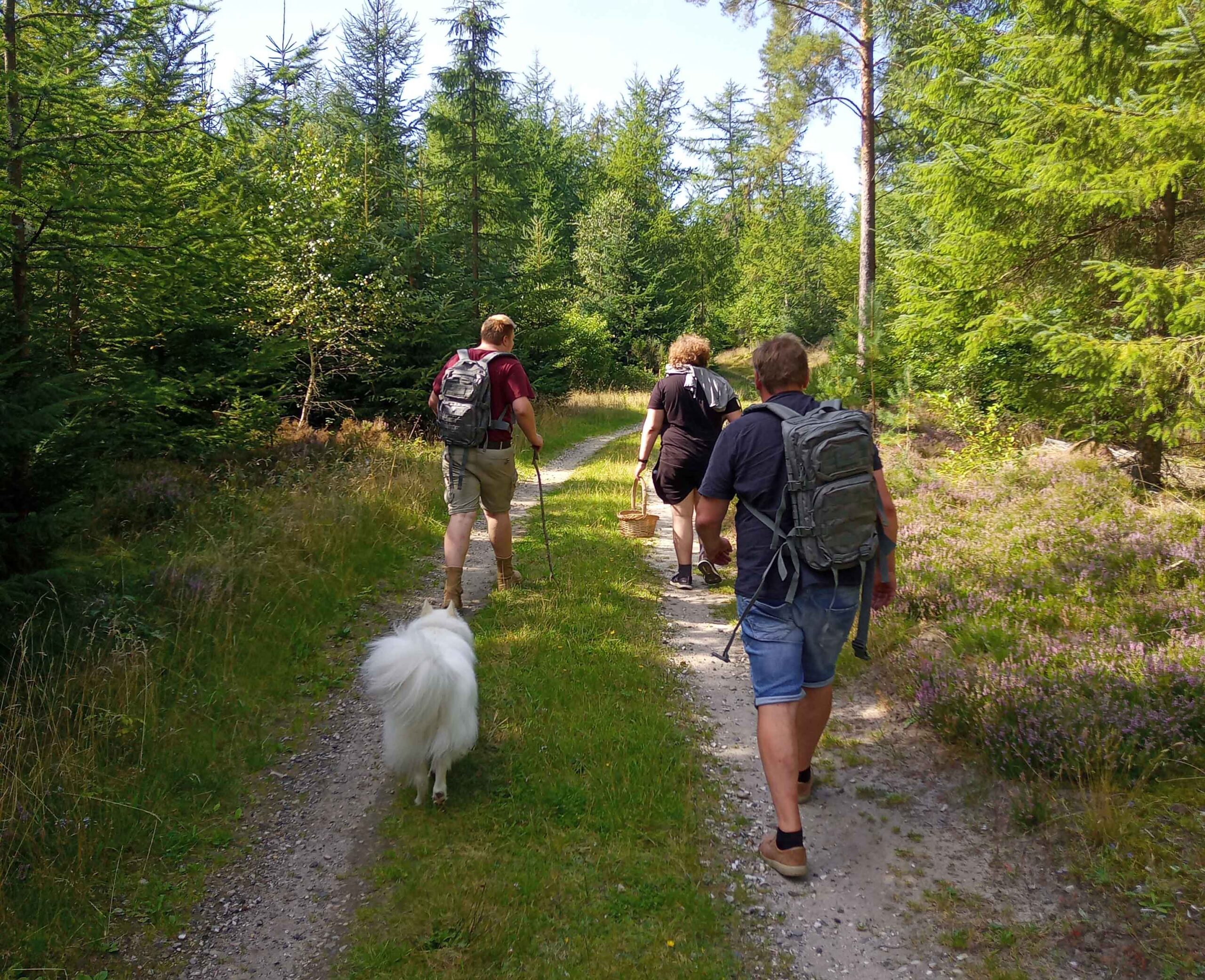 To unge, en hund og en voksen går tur i skoven
