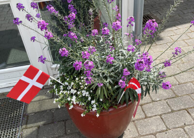 Flag og blomster hører med til dimission på Fonden Ørtings specialskole for børn og unge med autisme